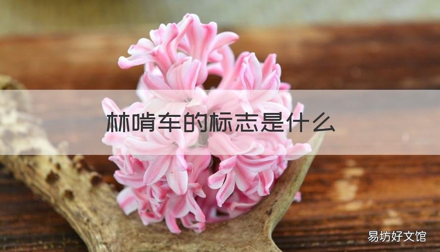 林啃车的标志是什么 有个汽车叫林什么
