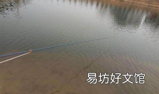 三月份用网抄怎么在小河里捕鱼 抄网能捕到小鱼吗