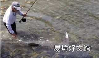 冬季海竿串钩钓鲫鱼用几号钩 冬天海竿钓鲫鱼用什么鱼钩