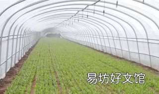 双膜大棚可以抗多少度的低温 双膜温室大棚