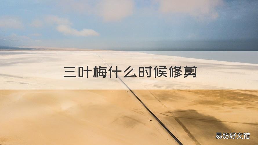 三叶梅什么时候修剪 三角梅修剪留几片叶子