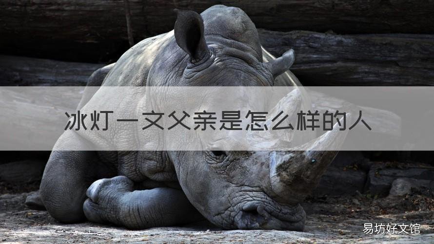 冰灯一文父亲是怎么样的人 看到父亲做的冰灯我为什么后悔了