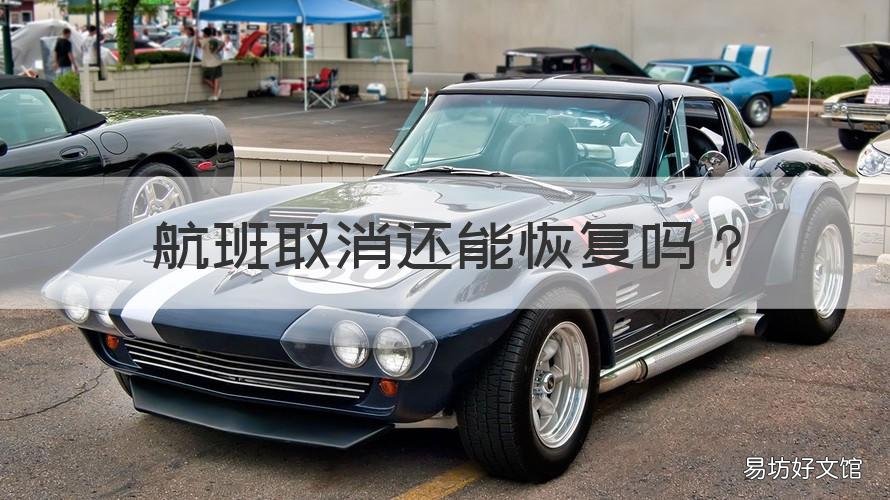 航班取消还能恢复吗 飞机航班取消还能恢复吗