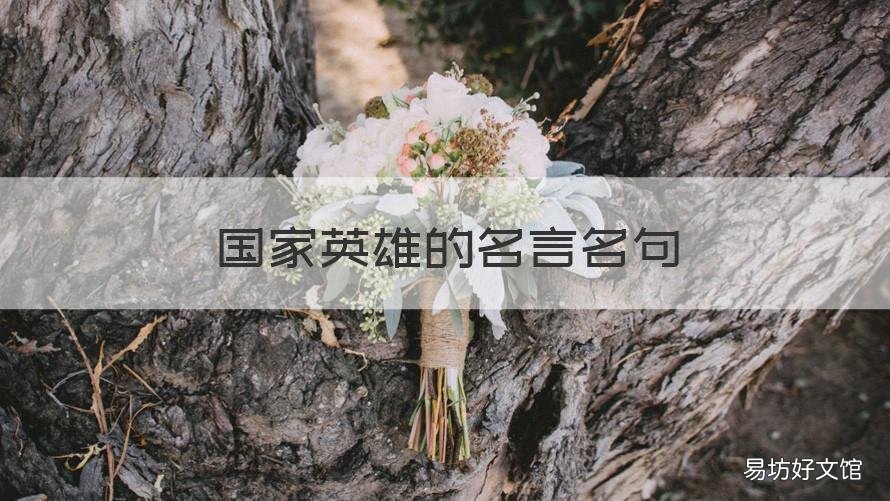 国家英雄的名言名句 国家英雄的名言名句摘抄