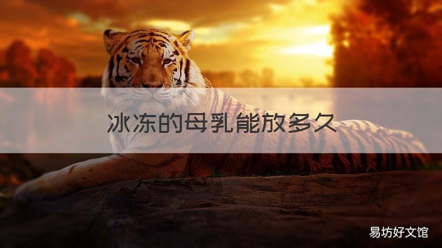 冰冻的母乳能放多久 冰冻母乳可以放多久