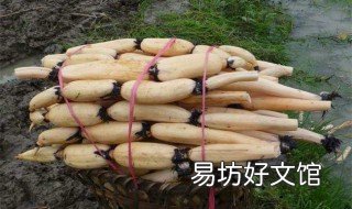 种植莲藕赚钱吗 种植莲藕的利润