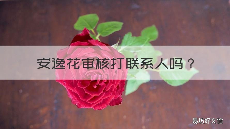 安逸花审核打联系人吗 安逸花要填联系人吗
