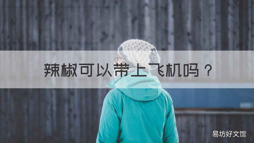 辣椒可以带上飞机吗 瓶装剁辣椒可以带上飞机吗