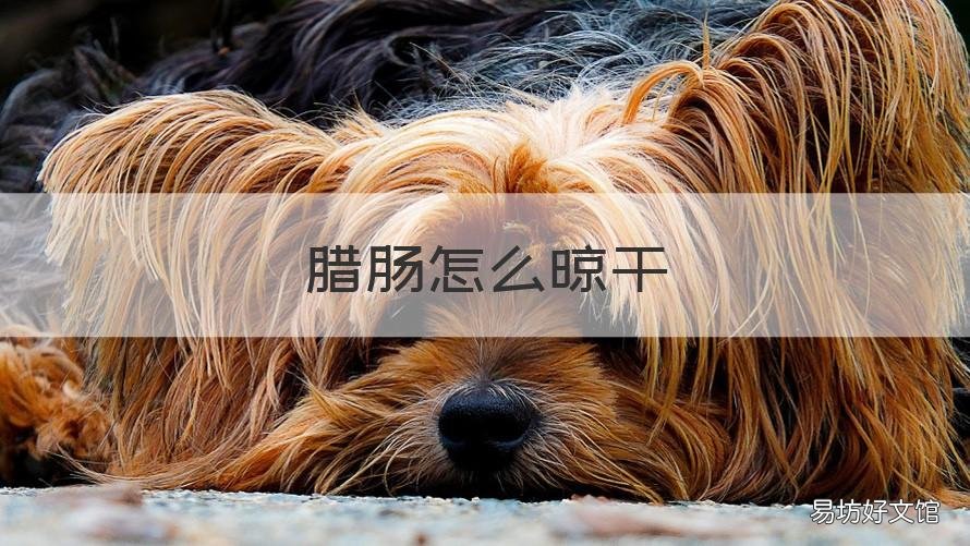 腊肠怎么晾干 腊肠如何晒干