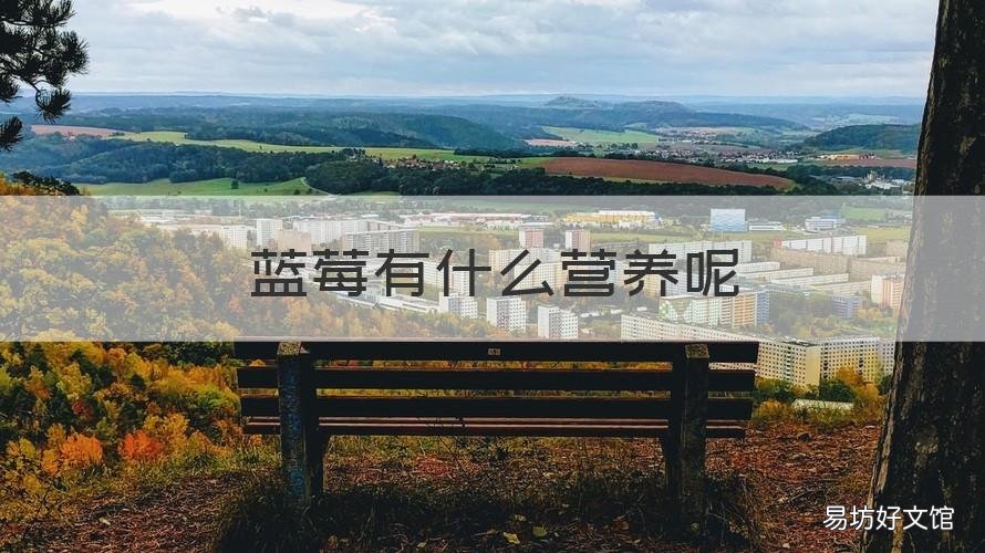 蓝莓有什么营养呢 蓝莓都有什么营养价值