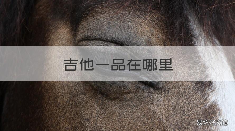 吉他一品在哪里 吉他上的一品二品在什么位置