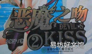 小妮子的已出版书 小妮子出版社