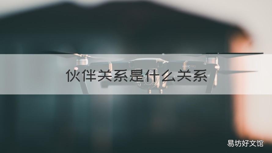 伙伴關系是什么關系 什么的伙伴關系