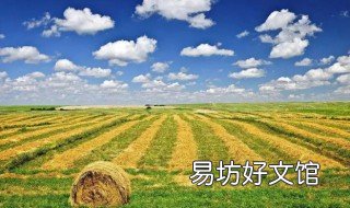 耕地类型有哪些 耕地类型有什么