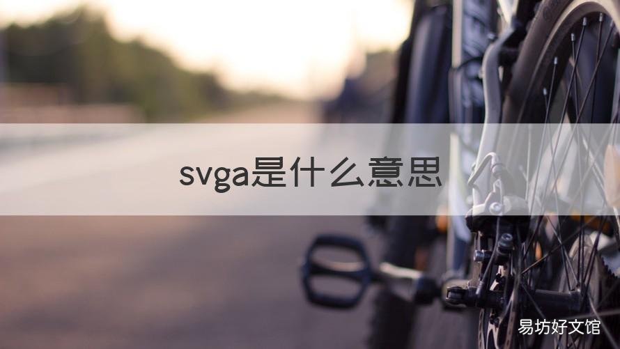 svga是什么意思 svga指什么