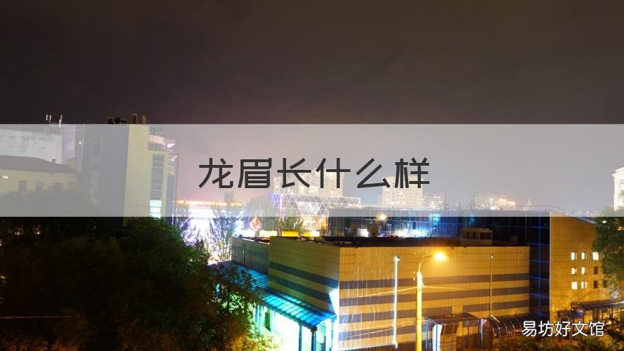 龙眉长什么样 龙眉什么样子