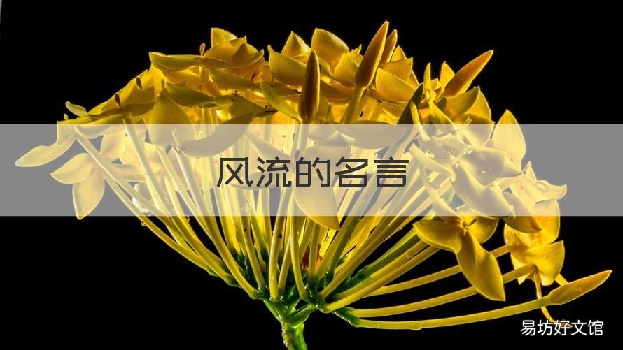 风流的名言 风流人物的诗文名句
