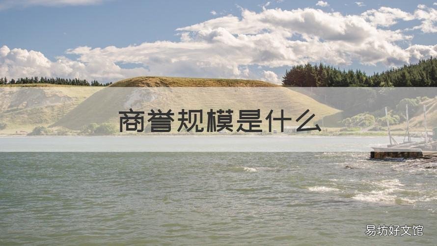 商誉规模是什么 如何看待商誉规模