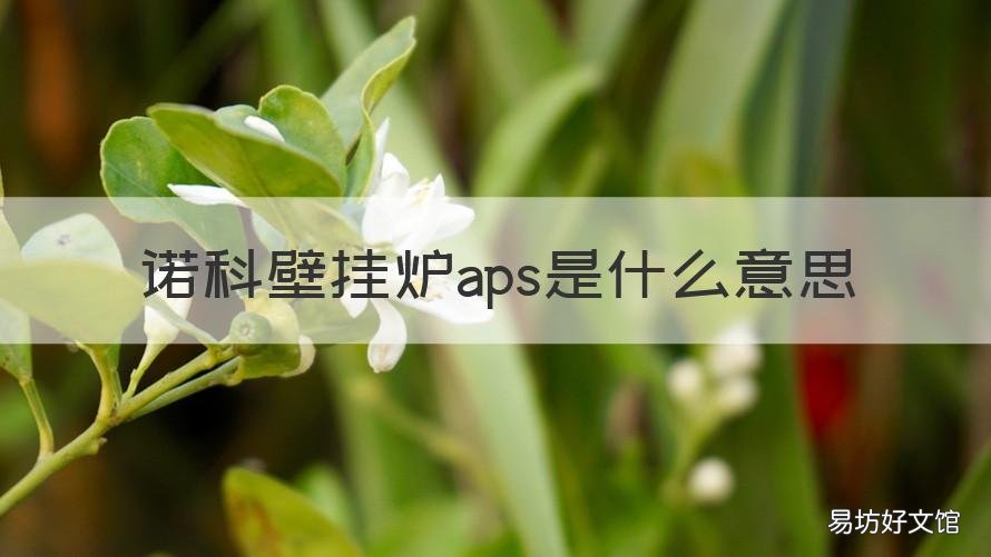 诺科壁挂炉aps是什么意思 壁挂炉上aps是什么意思