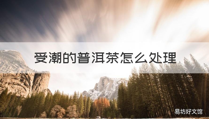受潮的普洱茶怎么处理 普洱茶受潮了如何处理