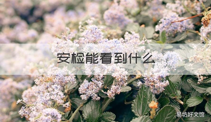 安检能看到什么 安检能看到什么东西