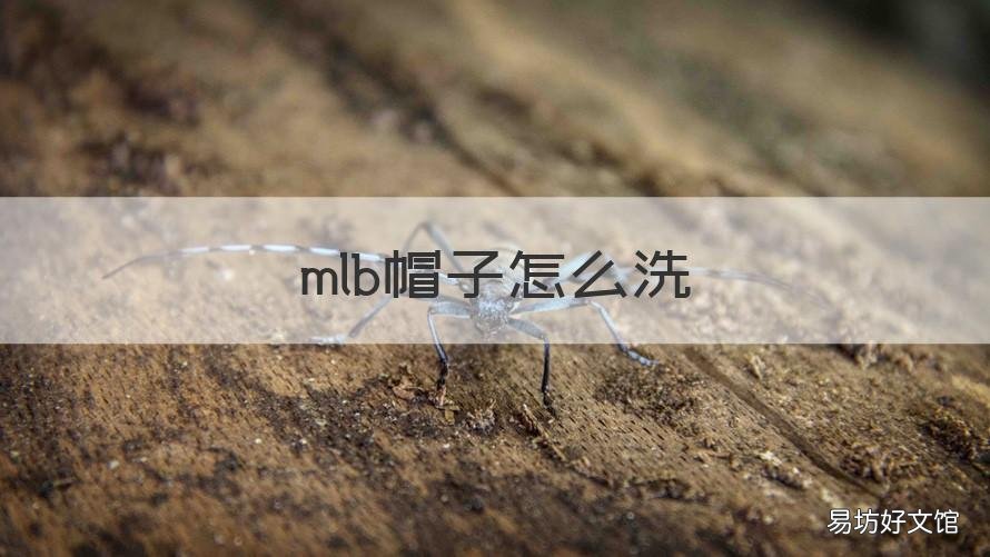 mlb帽子怎么洗 mlb帽子怎样清洗