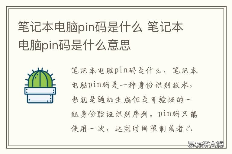 筆記本電腦pin碼是什么 筆記本電腦pin碼是什么怎么查