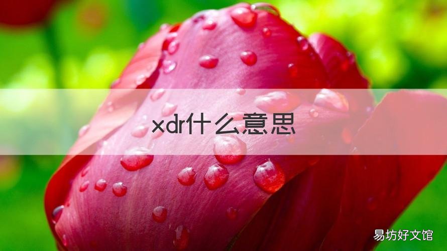 xdr什么意思 超清XDR什么意思
