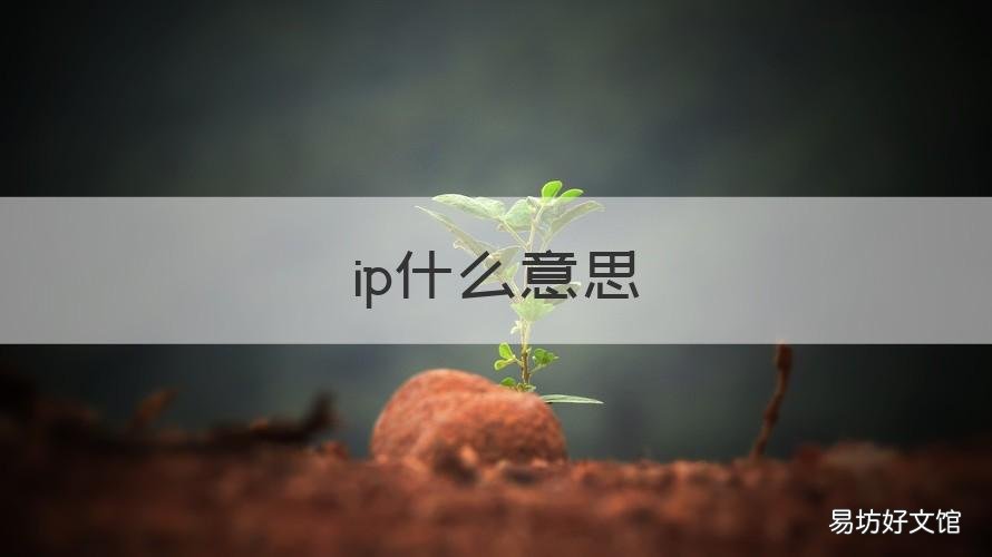 ip什么意思 ipa什么意思