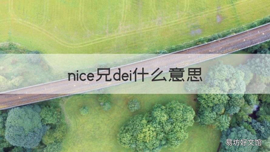 nice兄dei什么意思 nice 兄dei