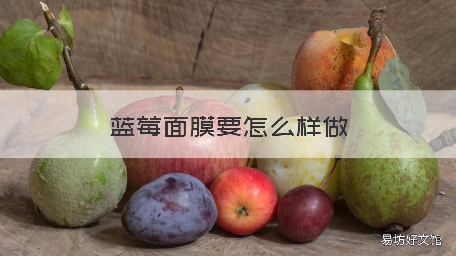 蓝莓面膜要怎么样做 蓝莓可以做面包吗