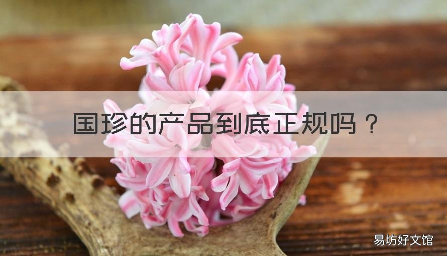国珍的产品到底正规吗 国珍是正规公司吗