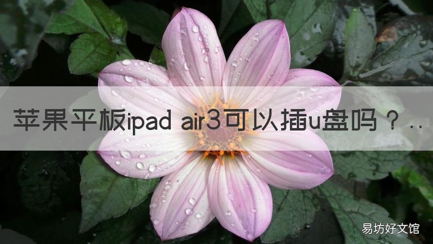 苹果平板ipad air3可以插u盘吗 ipad air3能插u盘么