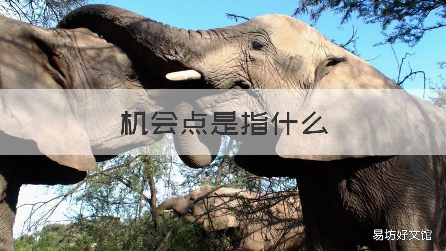 机会点是指什么 机会点有哪些