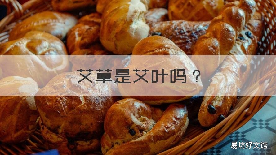 艾草是艾叶吗 艾草和艾叶是