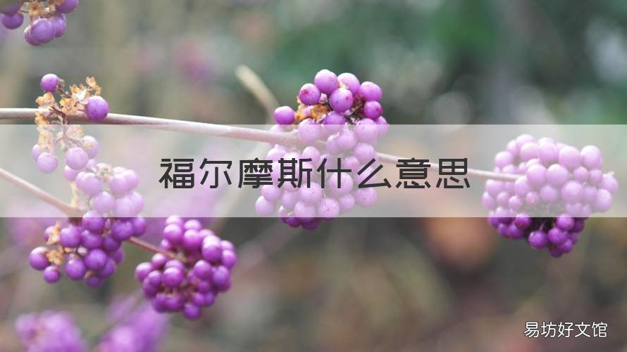 福尔摩斯什么意思 福尔摩斯什么意思哦