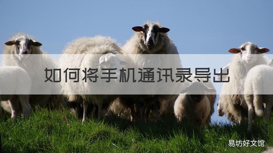 如何将手机通讯录导出 如何将手机通讯录导出来