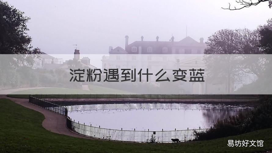 淀粉遇到什么变蓝 使淀粉变蓝的