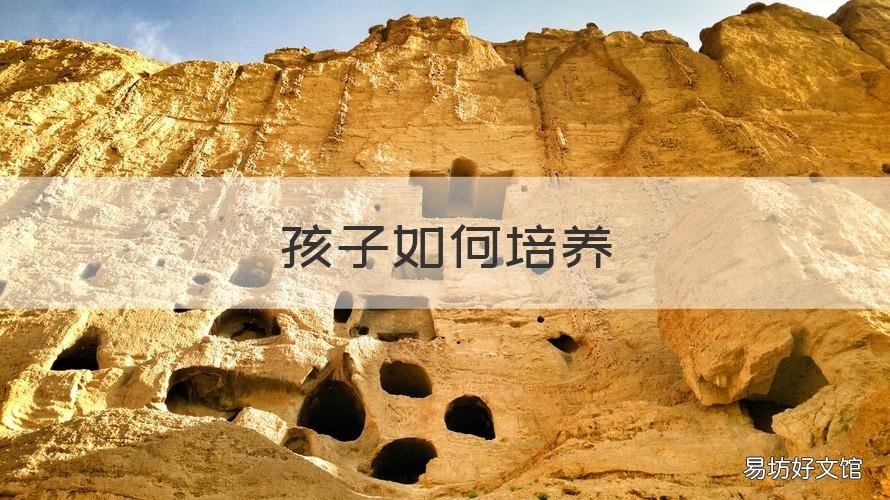 孩子如何培养 二年级孩子如何培养