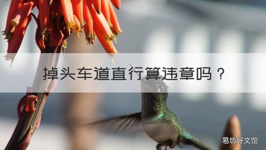 掉头车道直行算违章吗 在直行车道掉头算违章吗