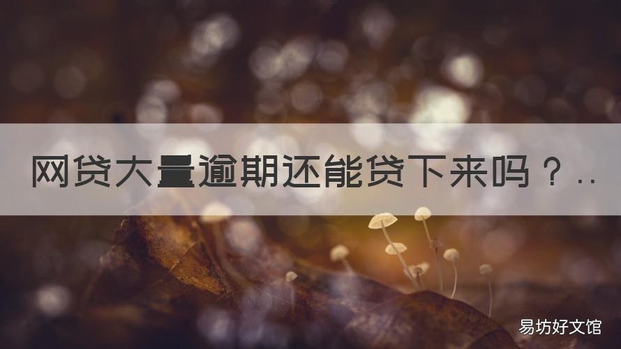 网贷大量逾期还能贷下来吗 严重逾期了还能网贷吗