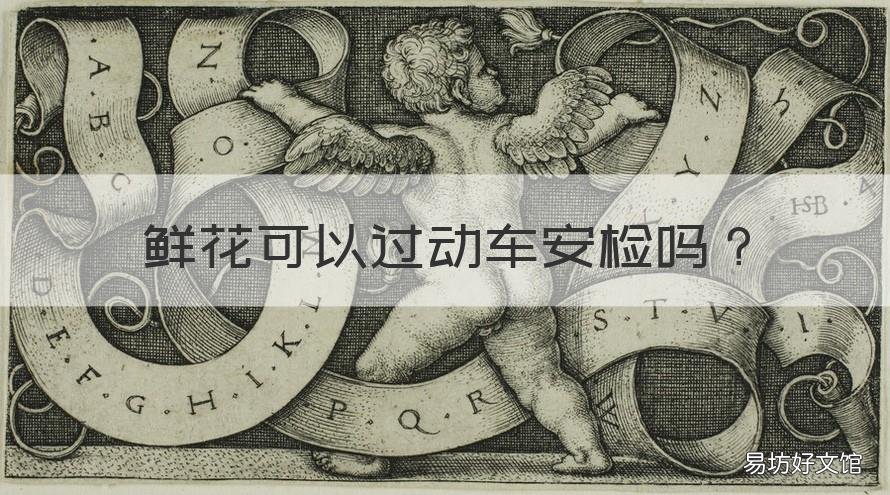 鲜花可以过动车安检吗 坐动车能带鲜花吗 要过安检吗