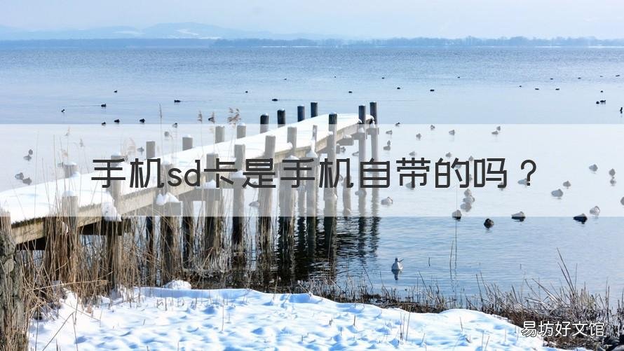 手机sd卡是手机自带的吗 手机用sd卡
