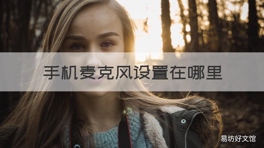 手机麦克风设置在哪里 华为手机麦克风设置在哪里