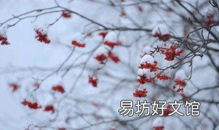 立冬是几月几号 1987年立冬是几月几号