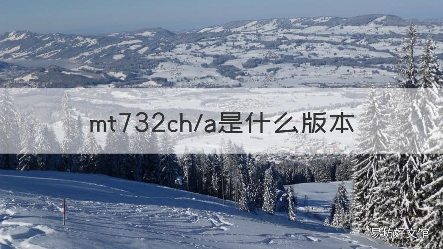 mt732ch/a是什么版本