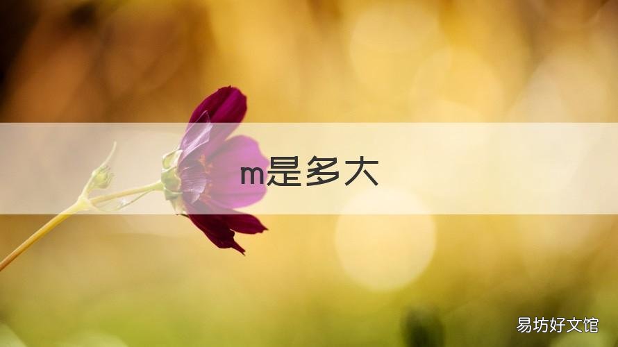 m是多大 m是多大内衣