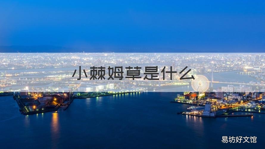 小棘姆草是什么 小棘草药功能