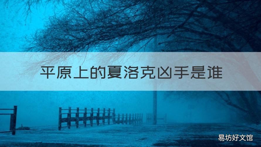 平原上的夏洛克凶手是谁 平原上的夏洛克剧情简介