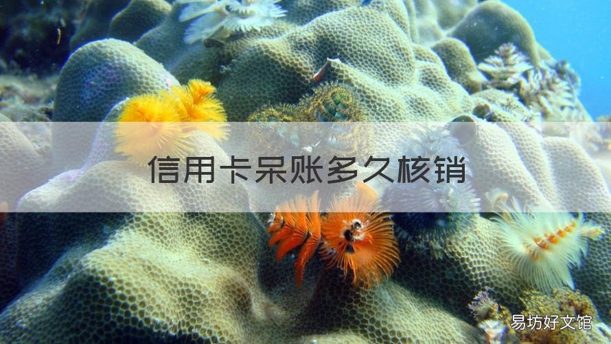 信用卡呆账多久核销 呆账核销后征信多久更新